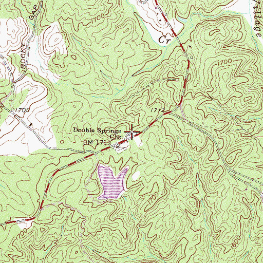 Topographic Map of Double Springs Church, SC