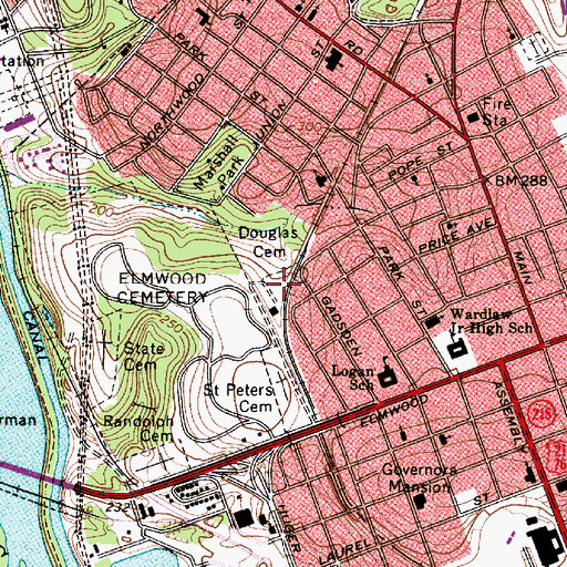 Topographic Map of Douglas Cemetery, SC