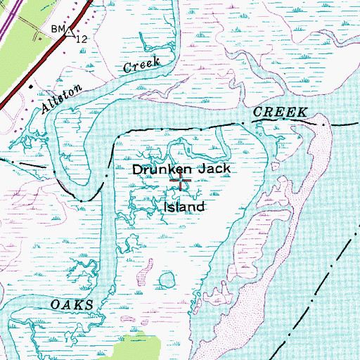 Topographic Map of Drunken Jack Island, SC