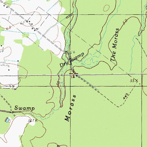 Topographic Map of Dry Swamp, SC