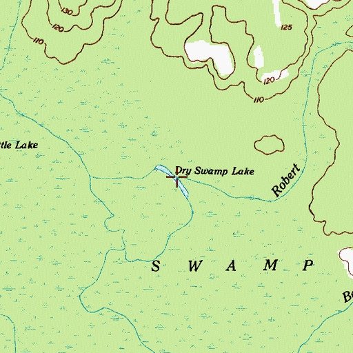 Topographic Map of Dry Swamp Lake, SC