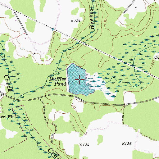 Topographic Map of Duffies Pond, SC