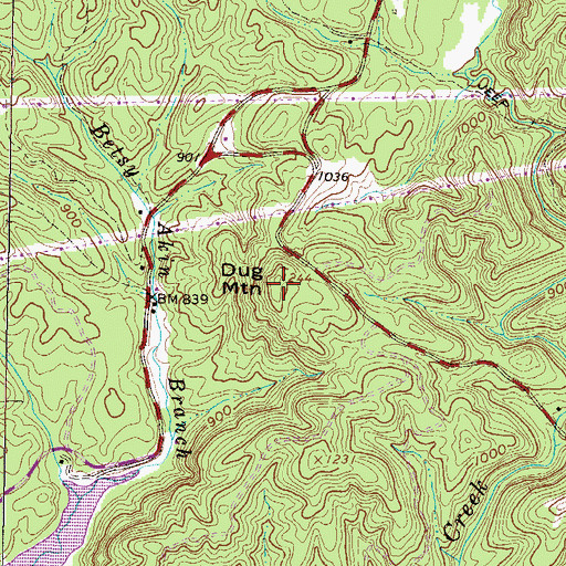 Topographic Map of Dug Mountain, SC