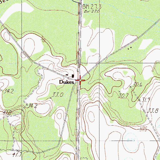Topographic Map of Dukes, SC