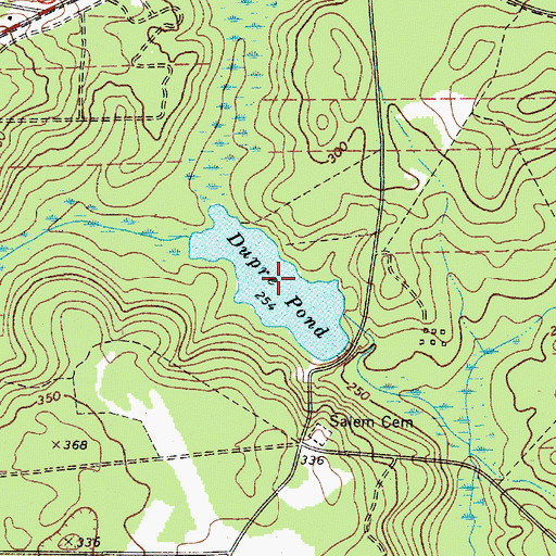 Topographic Map of Dupre Pond, SC