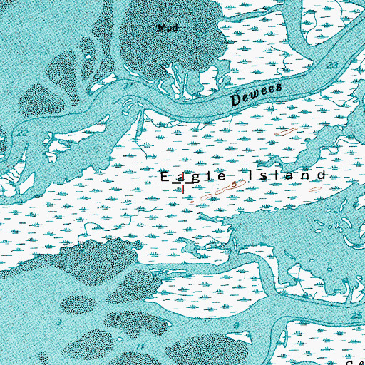 Topographic Map of Eagle Island, SC