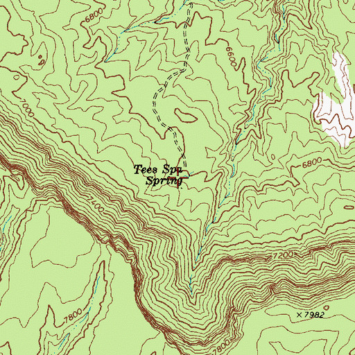 Topographic Map of Tees Spa Spring, AZ