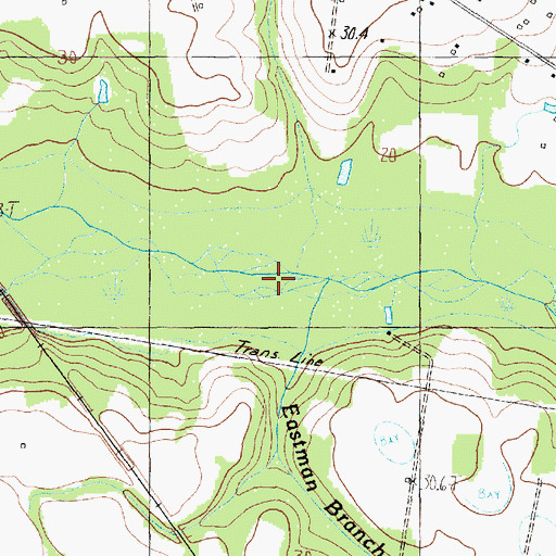 Topographic Map of Eastman Branch, SC