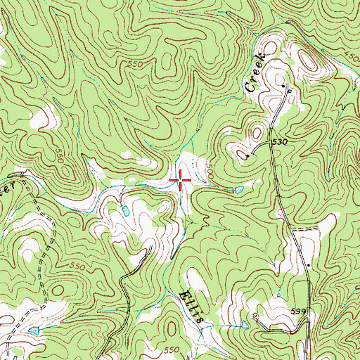 Topographic Map of Ellis Creek, SC