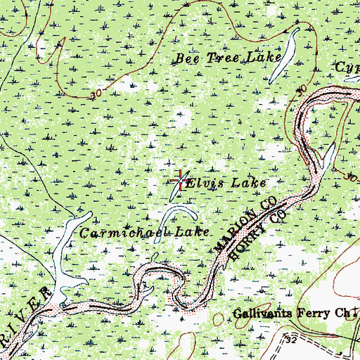Topographic Map of Elvis Lake, SC