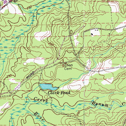 Topographic Map of Enon Cemetery, SC
