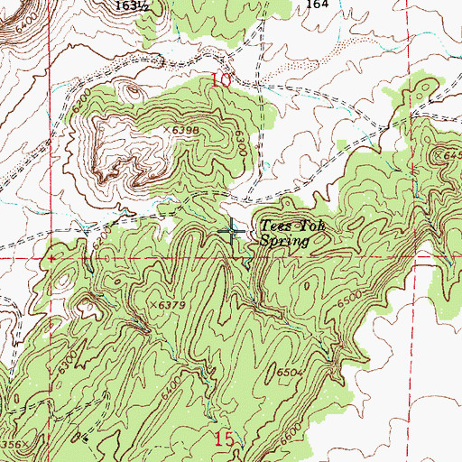 Topographic Map of Tees Toh Spring, AZ