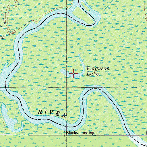 Topographic Map of Ferguson Lake, SC