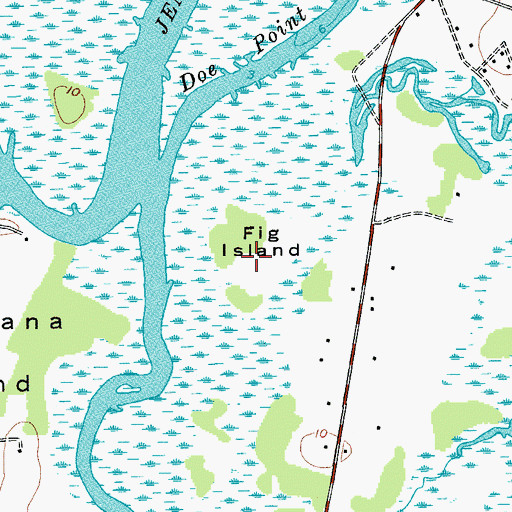 Topographic Map of Fig Island, SC