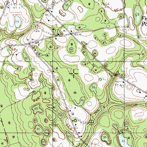 Topographic Map of Fish Pond, SC