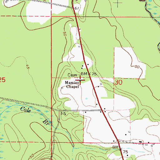 Topographic Map of Mamies Chapel, AL
