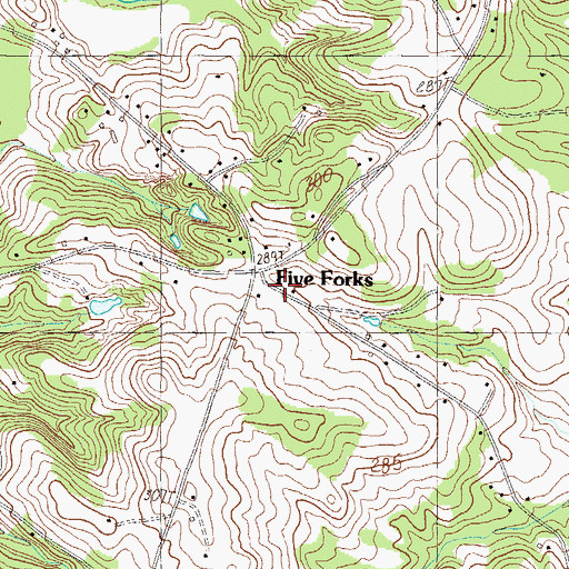 Topographic Map of Five Forks, SC