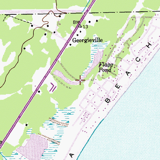 Topographic Map of Flagg Pond, SC