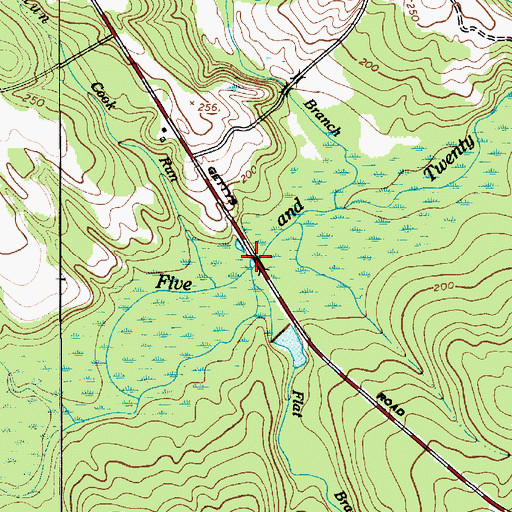 Topographic Map of Flat Branch, SC