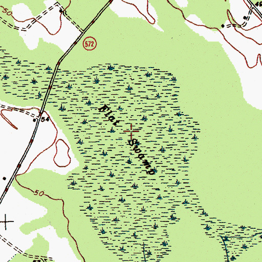 Topographic Map of Flat Swamp, SC