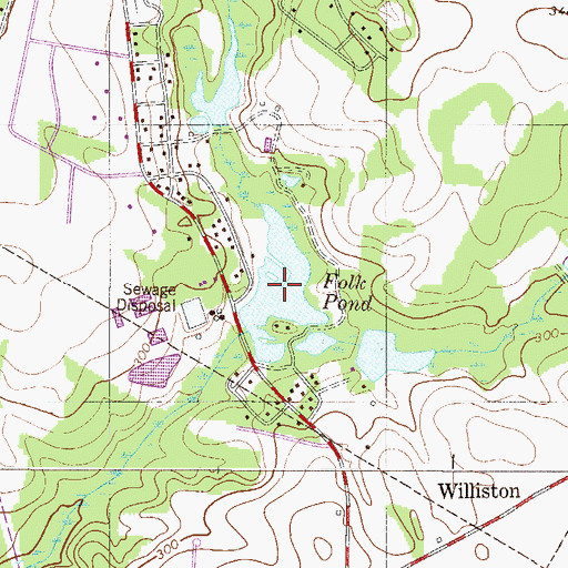 Topographic Map of Folk Pond, SC