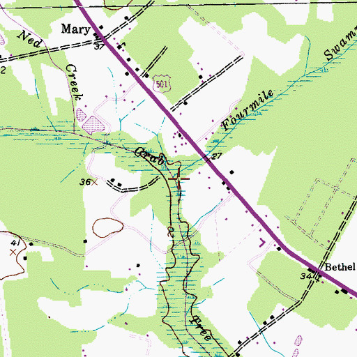 Topographic Map of Fourmile Swamp, SC