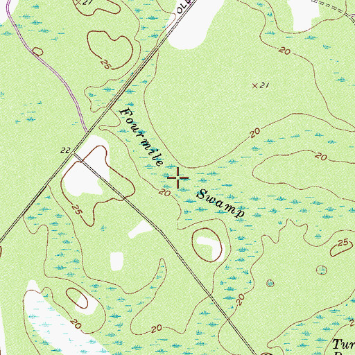 Topographic Map of Fourmile Swamp, SC