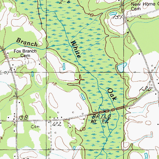 Topographic Map of Fox Branch, SC