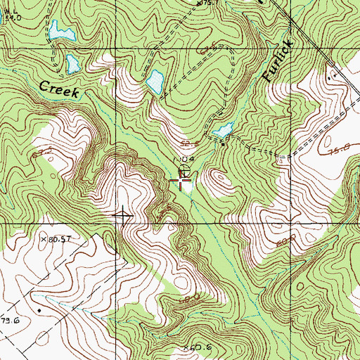 Topographic Map of Furlick Branch, SC