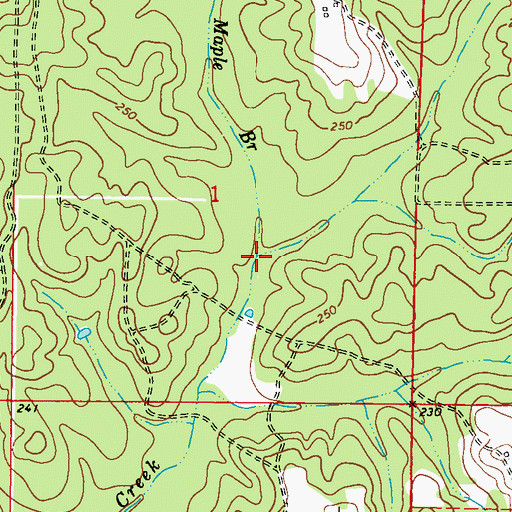 Topographic Map of Maple Branch, AL