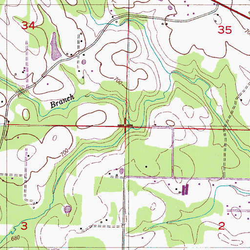 Topographic Map of Maple Branch, AL