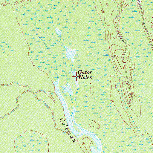 Topographic Map of Gator Holes, SC