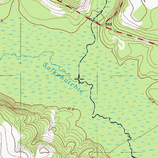 Topographic Map of Georges Creek, SC
