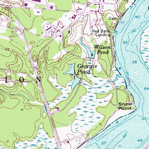 Topographic Map of Georgie Pond, SC