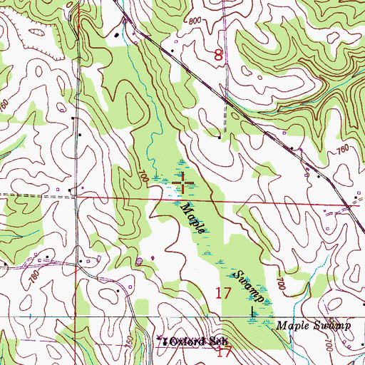 Topographic Map of Maple Swamp, AL
