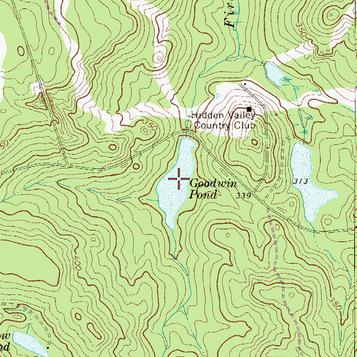 Topographic Map of Goodwin Pond, SC