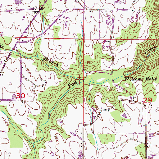 Topographic Map of Mardis Branch, AL