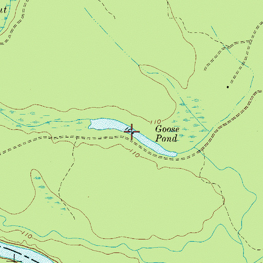 Topographic Map of Goose Pond, SC