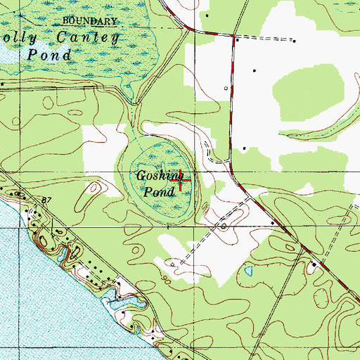 Topographic Map of Goshing Pond, SC