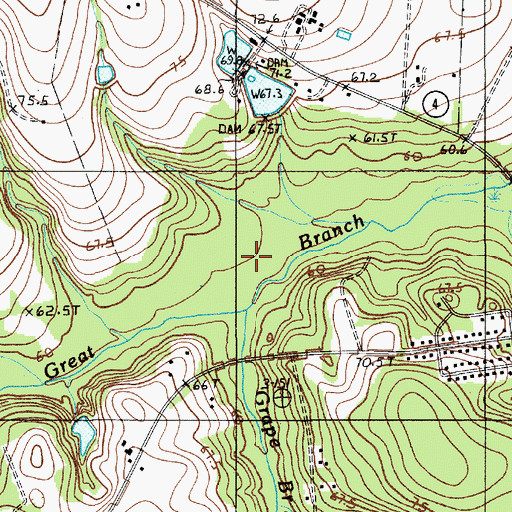 Topographic Map of Grape Branch, SC