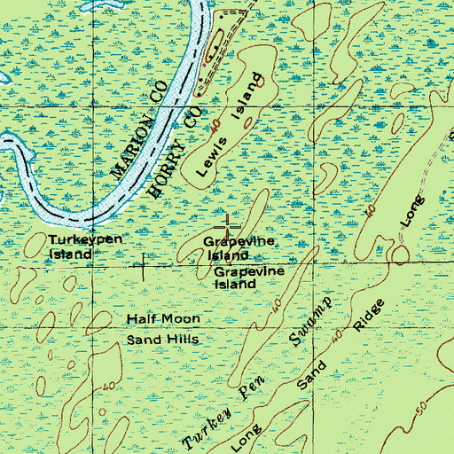 Topographic Map of Grapevine Island, SC