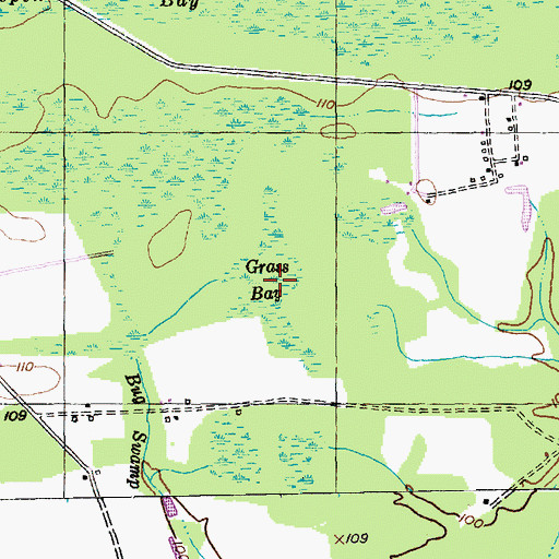 Topographic Map of Grass Bay, SC