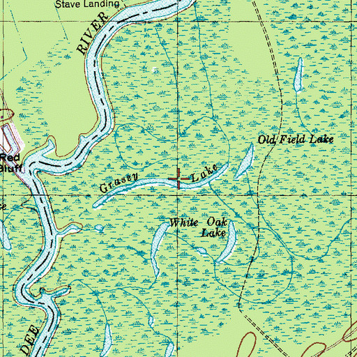 Topographic Map of Grassy Lake, SC