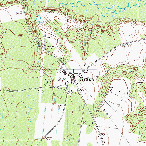 Topographic Map of Grays, SC