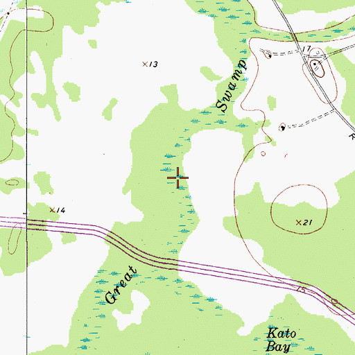 Topographic Map of Great Swamp, SC