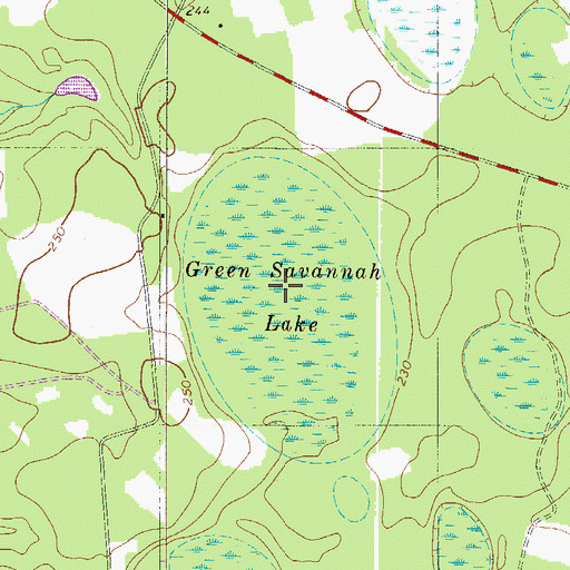 Topographic Map of Green Savannah Lake, SC