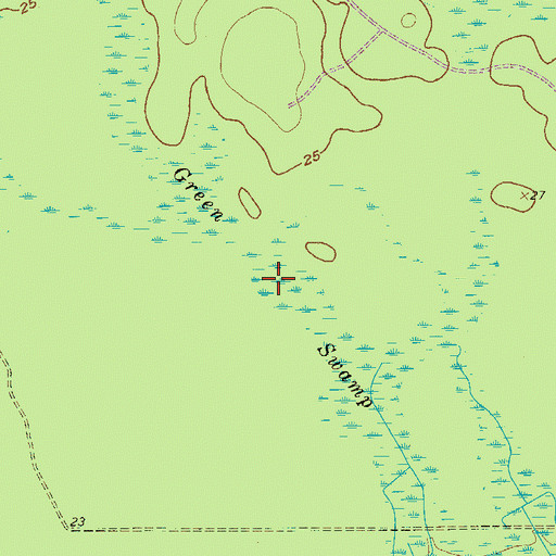 Topographic Map of Green Swamp, SC