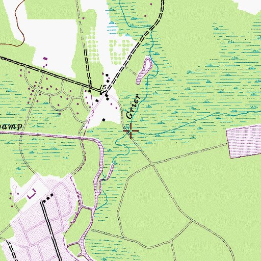 Topographic Map of Grier Swamp, SC
