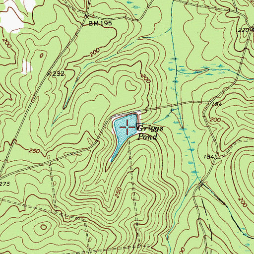 Topographic Map of Griggs Pond, SC