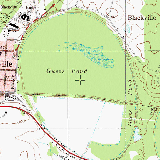 Topographic Map of Guess Pond, SC